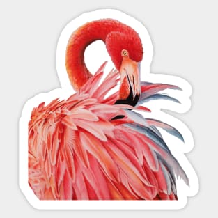 Florida Vibe Sticker